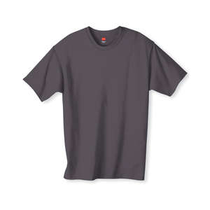 Hanes Youth 6 oz. Tagless T-Shirt - Dark/Colors Gray, Smoke
