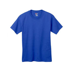Hanes Youth 6 oz. Tagless T-Shirt - Dark/Colors Blue, Deep Royal