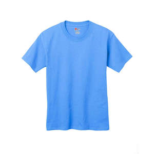 Hanes Youth 6 oz. Tagless T-Shirt - Dark/Colors Blue, Carolina