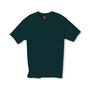 Hanes Youth 6 oz. Tagless T-Shirt - Dark/Colors Green, Deep Forest