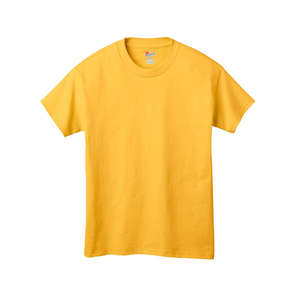 Hanes Youth 6 oz. Tagless T-Shirt - Dark/Colors Gold