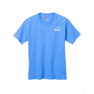 Custom Promotional Hanes Youth 6 oz. Tagless T-Shirt - Dark/Colors