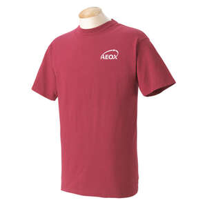 Custom Promotional Comfort Colors Youth Ringspun Garment-Dyed T-Shirt - Dark/All