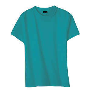 Hanes Women's Classic Fit Ringspun T-Shirt - Dark/All Teal