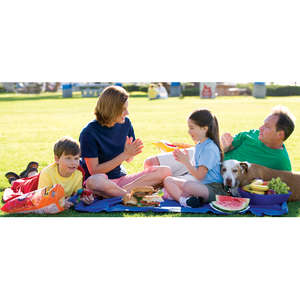 Port and Company Value Fleece Blanket with Strap - Dark/All