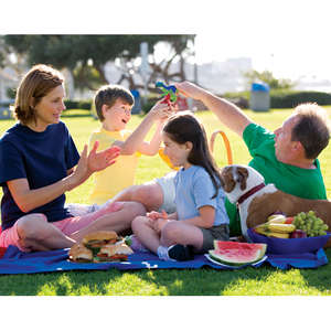 Port and Company Value Fleece Blanket with Strap - Dark/All