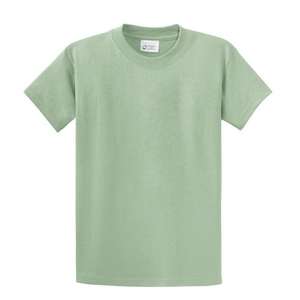 Port and Company Essential T-Shirt - Light/Heather Green, Stonewashed