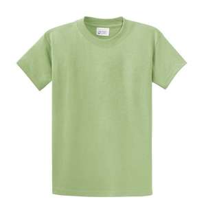 Port and Company Essential T-Shirt - Light/Heather Pistachio