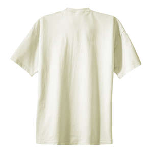 Port and Company Essential T-Shirt - White/Neutral 
