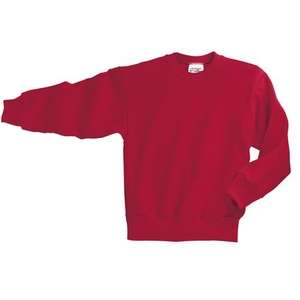 Port and Company Youth Crewneck Sweatshirt - Dark/Colors Red