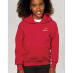 Logo Sweatshirts & Sweatpants - Port and Company Youth Pullover Hooded Sweatshirt - Dark/Colors