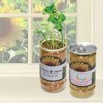 Custom Gardening Accessories - Sunflower in a Can Planter