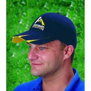 Custom Promotional Brushed Cotton Cap With V-Pattern Bill