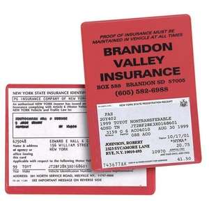 Insurance and Registration Holder
