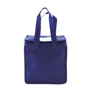 Non Woven Lunch Tote