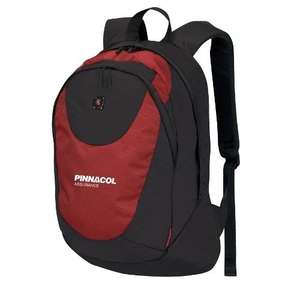 Victorinox Rhine Classic Dual Compartment Daypack 