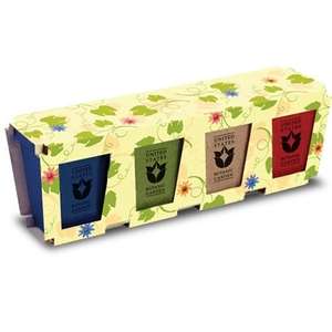 Custom Promotional Promo Planter - 4-Pack Planter Set