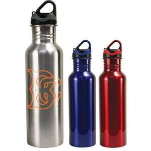 24 oz. Stainless Steel Quest Bottle 
