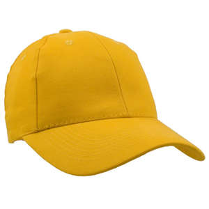 The Youth Cap Gold