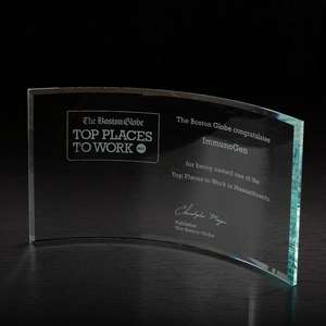 Custom Promotional Times Award - Large