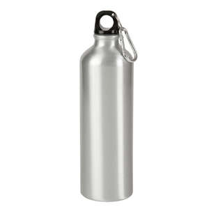 25 oz. Aluminum Alpine Bottle Silver