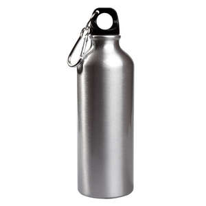 17 oz. Aluminum Petite Bottle Silver