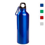 Wholesale Drinkware - 17 oz. Aluminum Petite Bottle