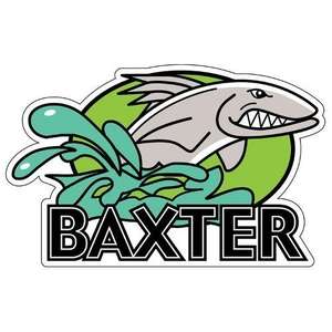 Custom Promotional Die-Cut 20.1 to 30 Sq In Custom Shape Car Magnet