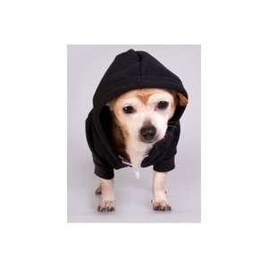 American Apparel Flex Fleece Dog Zip Hoody Black