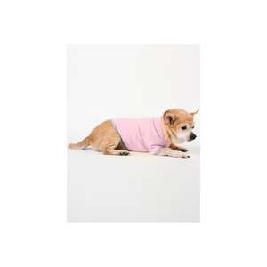American Apparel Doggy Tee