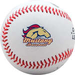 Business Outdoor & Sporting Goods - Rawlings Official League Leather Baseball