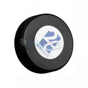Hockey Puck Stress Ball