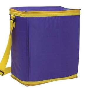 CHILL by Flexi-Freeze 12-Can Cooler