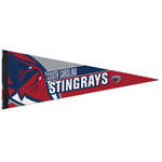 Personalized Pennants - Premium Felt Pennant - 9" x 24"