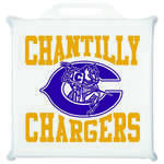 Imprinted Seat Cushions - Deluxe Seat Cushion - 14" x 14"