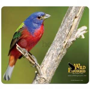 Vynex Mouse Pad - 7-1/2