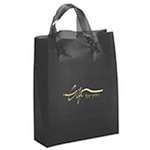 Personalized Plastic & Vinyl Bags - Apollo Frosted Brite Shopper