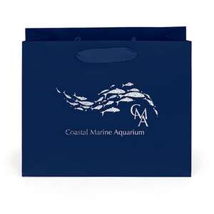 Custom Promotional Paris Matte Eurotote Bag