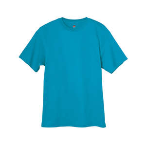 Hanes Authentic Tagless Tee - Dark/Color Teal