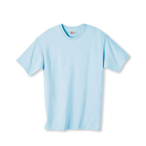 Hanes Authentic Tagless Tee - Dark/Color Blue, Light
