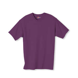 Hanes Authentic Tagless Tee - Dark/Color Purple