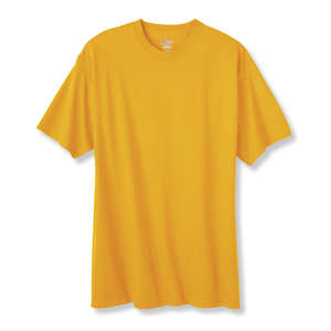 Hanes Authentic Tagless Tee - Dark/Color Gold