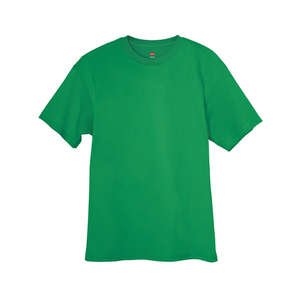 Hanes Authentic Tagless Tee - Dark/Color Green, Shamrock