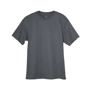 Hanes Authentic Tagless Tee - Dark/Color Gray, Smoke