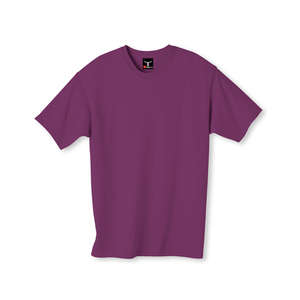 Hanes Beefy-T - Dark/Color Purple