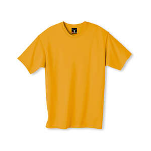 Hanes Beefy-T - Dark/Color Gold