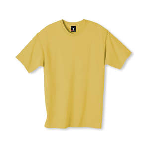 Hanes Beefy-T - Dark/Color Gold Nugget