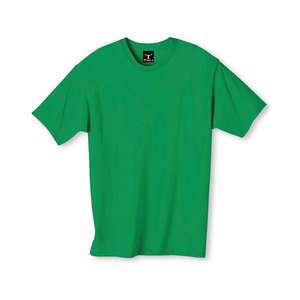 Hanes Beefy-T - Dark/Color Green, Shamrock