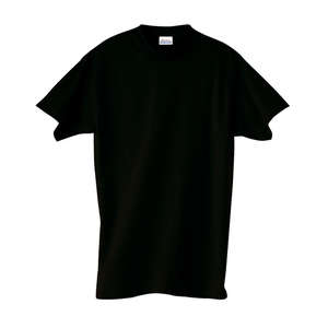 Hanes Heavyweight 100% Cotton Tee - Dark/Color Black