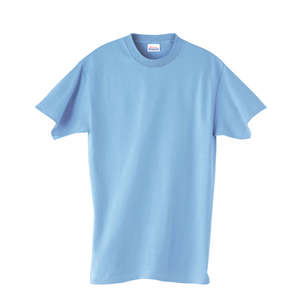 Hanes Heavyweight 100% Cotton Tee - Dark/Color Blue, Light